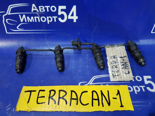 Форсунка топливная HYUNDAI TERRACAN 2002