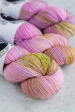 пряжа "Вунш-пунш #1" Soft Sock Stu