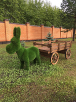 Топиари Ослик