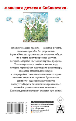 Необыкновенные приключения Карика и Вали