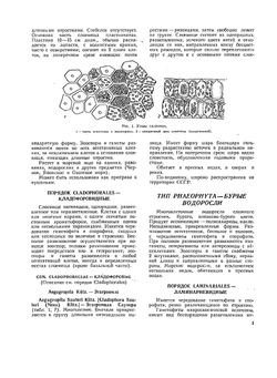 Ботанический атлас | Б.К. Шишкин