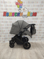 Коляска модульная 3в1 Farfello Molly Pro серый