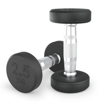 Гантель UNIX Fit PRO круглая обрезиненная 2,5 кг, 2 шт.