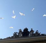 Шар (34"/86 см) Фигура, Голубь, Белый 1 шт.