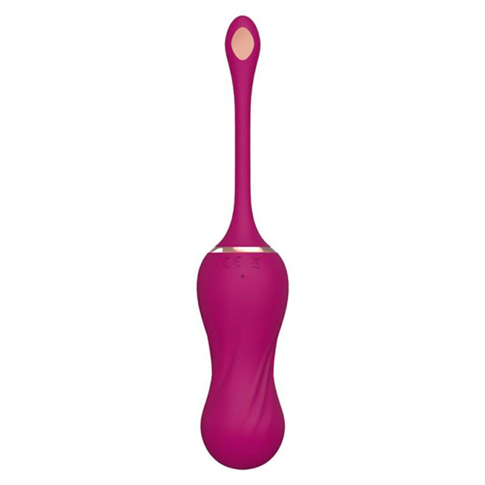 Сливовые вагинальные виброшарики 17,8см с пультом ДУ Anasteisha Bud AN004