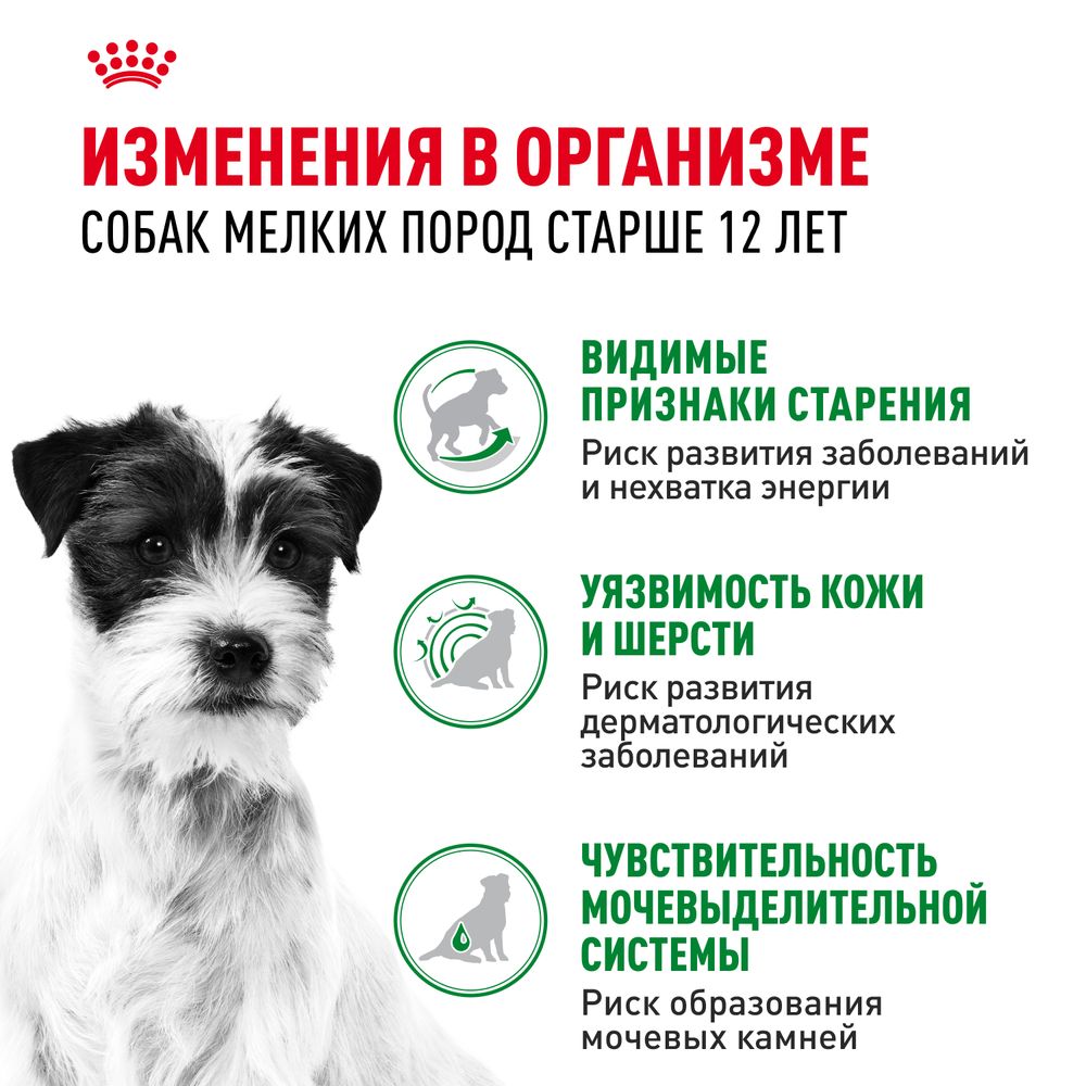 Пауч Royal Canin Mini Ageing 12+ для стареющих собак мелких размеров в возрасте старше 12 лет Пауч Royal Canin Mini Ageing 12+ для стареющих собак мелких размеров в возрасте старше 12 лет