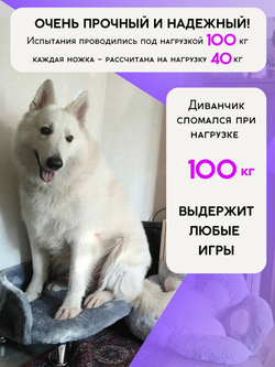 Лежанка для кошек и собак "Луи" диван из Premium мебельной ткани микровелюр для мелких пород 60*40 см.