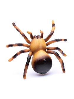 Игрушка радиоуправляемая Паук со змеей (8906)