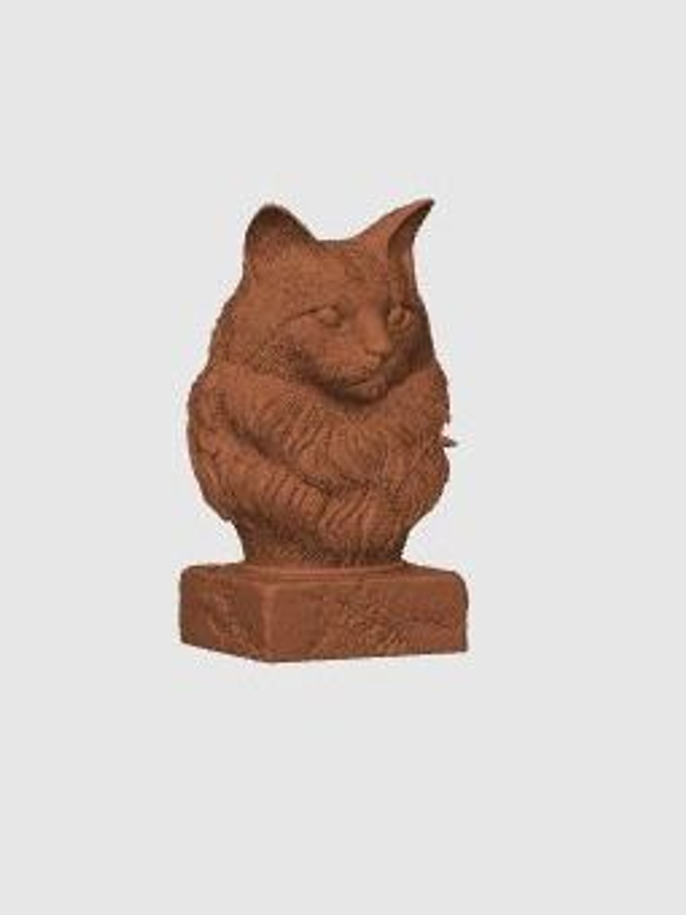 Кошка Мейн-Кун