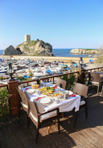 Кресло пластиковое плетеное, Siesta Contract Ibiza, коричневый