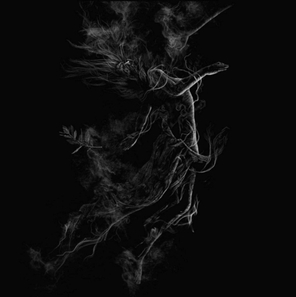 Jarboe / Illusory (LP)