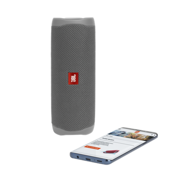 JBL Flip 5 Gray (Серая)