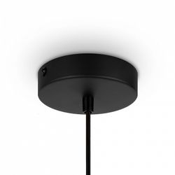 Подвесной светильник Maytoni Roots MOD193PL-01W