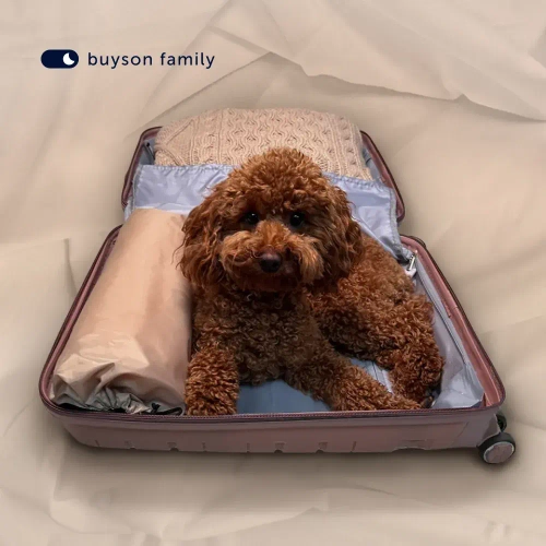 Подушка BuyTravel (в дорожном чехле)