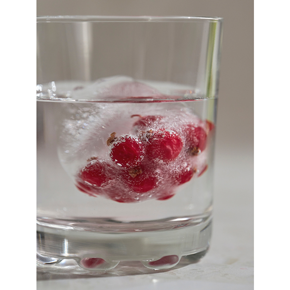 Форма для льда Smart Solutions Freeze