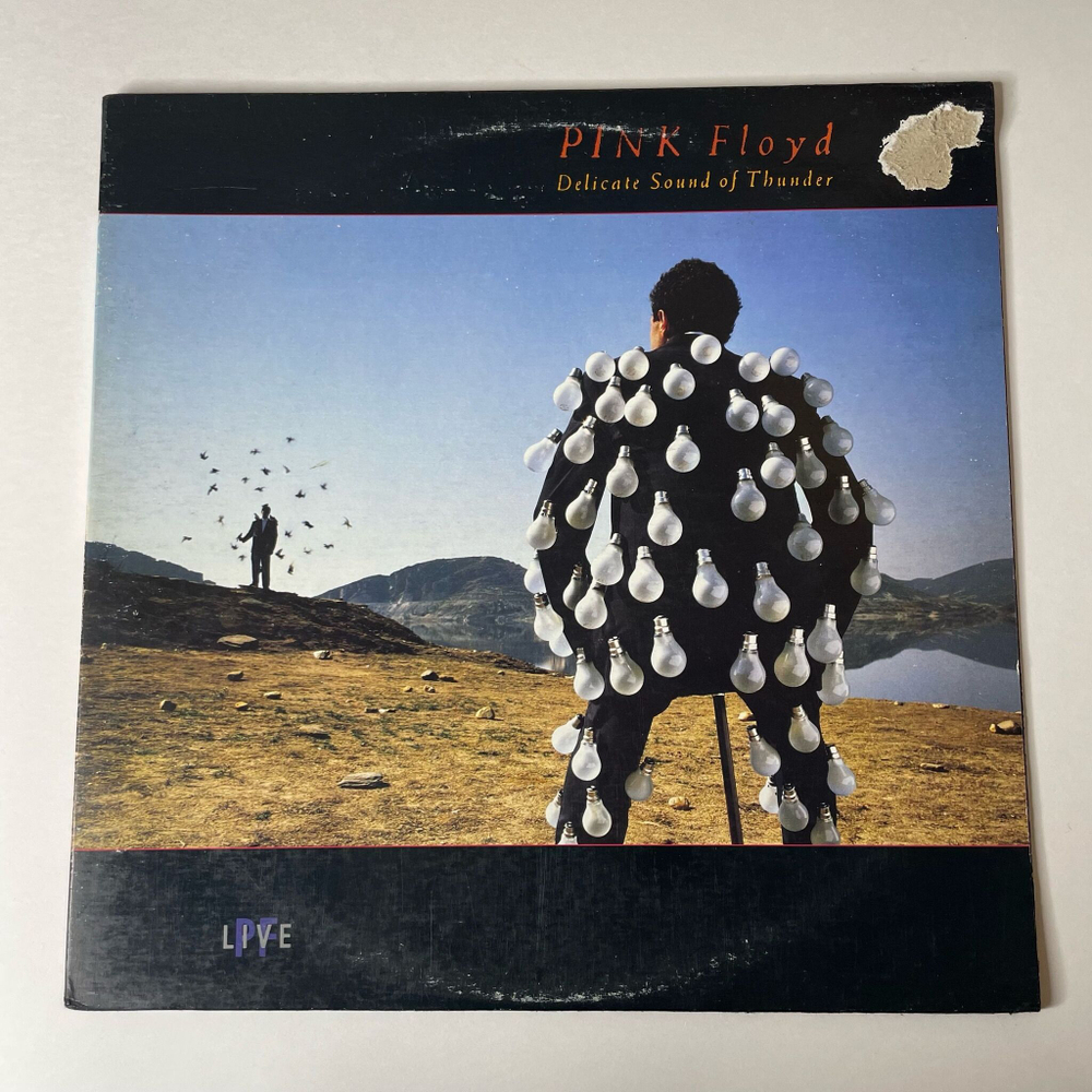 Винтажная виниловая пластинка LP Pink Floyd Delicate Sound Of Thunder (USA 1988)