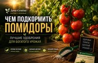 Чем подкормить помидоры: лучшие удобрения для богатого урожая