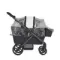Детская коляска-вагончик Wagon Anex Modu Haze