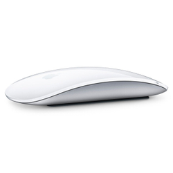 Мышь беспроводная Apple Magic Mouse USB-C White