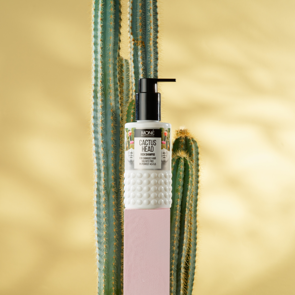 Ультранасыщенный шампунь для сухих и поврежденных волос Mone Professional CACTUS HEAD RICH SHAMPOO, 150 мл
