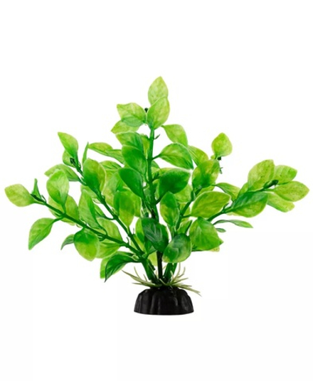 Растение зеленое с листьями  4*10см
