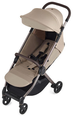 Детская коляска Anex iQ Premium NT 2 в 1 iQ-13-DNA seal