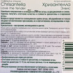 Астра Хризантелла Элвис 30 шт СМЦ-338