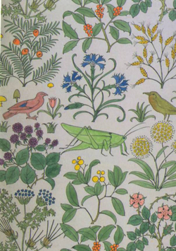 V&A Pattern: 100 Postcards