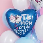 Шар (19''/48 см) Сердце, Ты - мой котик навсегда, 1 шт.