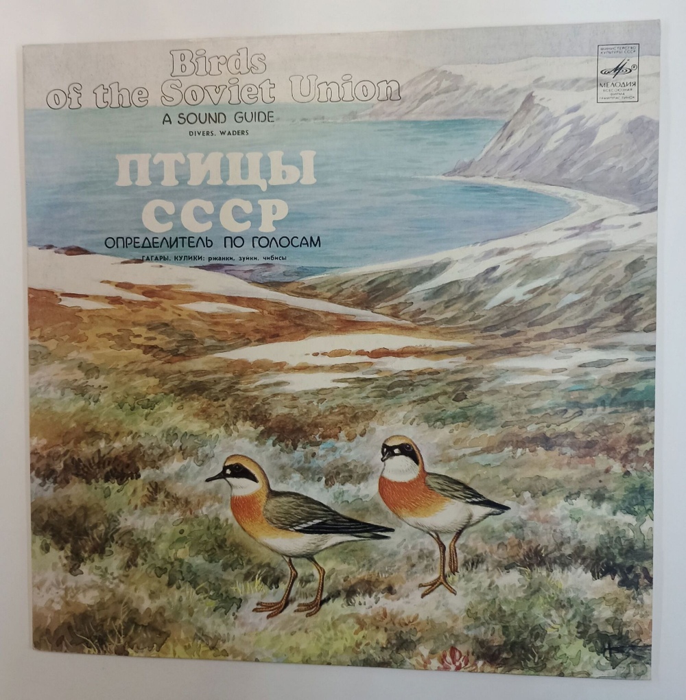 Винтажная виниловая пластинка LP Птицы СССР. Голоса птиц.  Б. Вепринцев Гагары. Кулики Pжaнки, Зyйки, Чибиcы Divers. Waders (СССР 1982)
