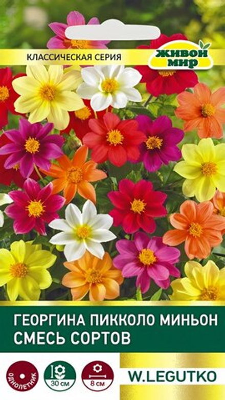 Гeopгинa "ЖМ. Пиккoлo Mиньoн cмecь" 0,5г., Польша.