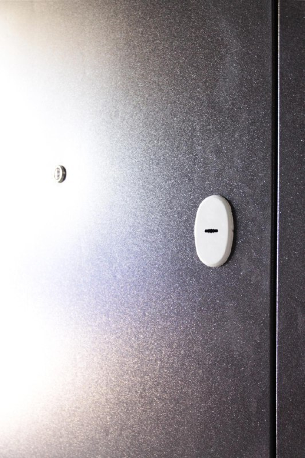 Дверь входная Мюнхен