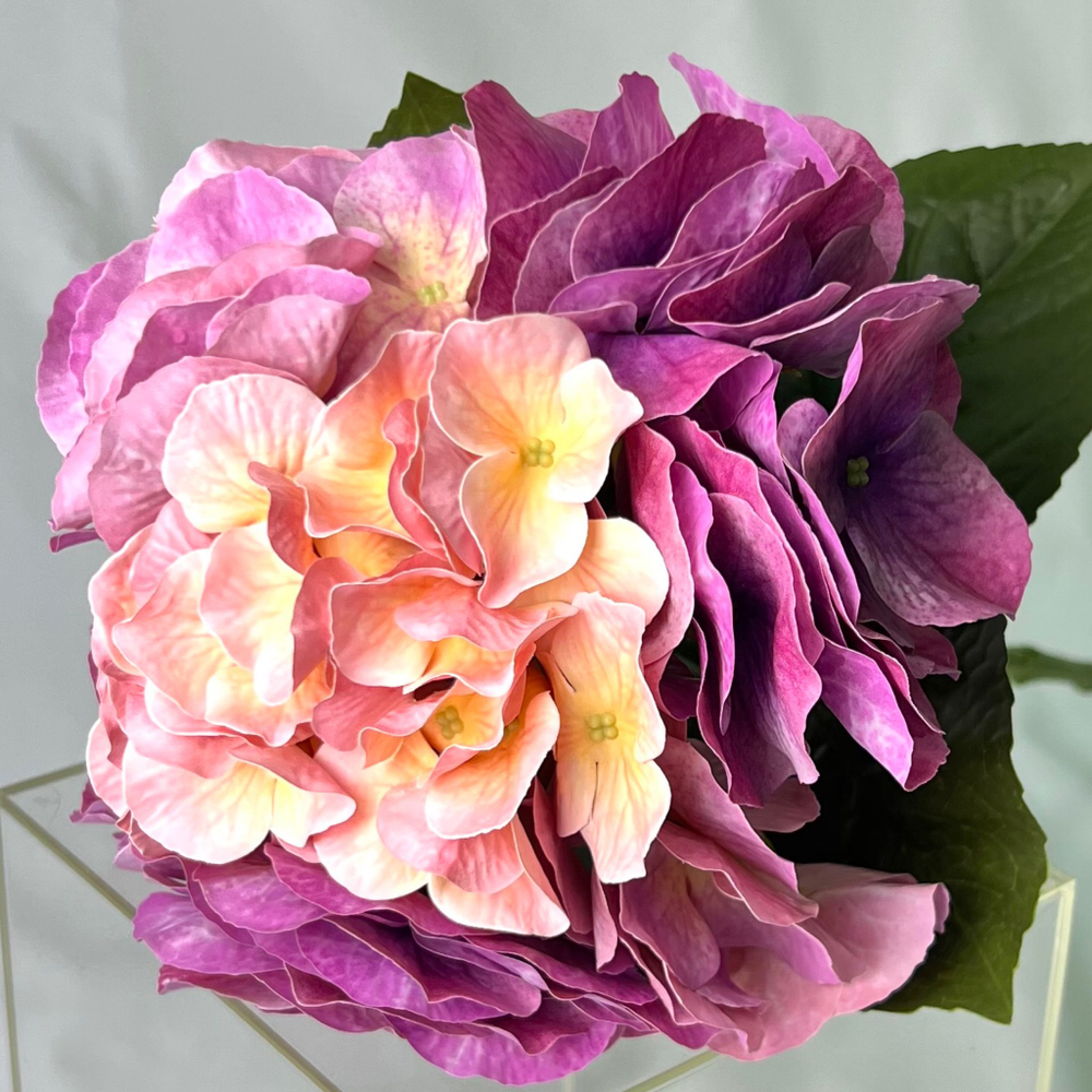 Гортензия премиум ярко-розовая