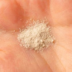 BY WISHTREND Энзимная пудра для умывания с ароматом матчи Green Tea & Enzyme Powder Wash (110 мл)