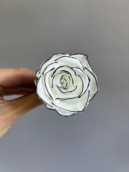 Роза классическая бело-черная d=4-5 см (упак 8 шт)