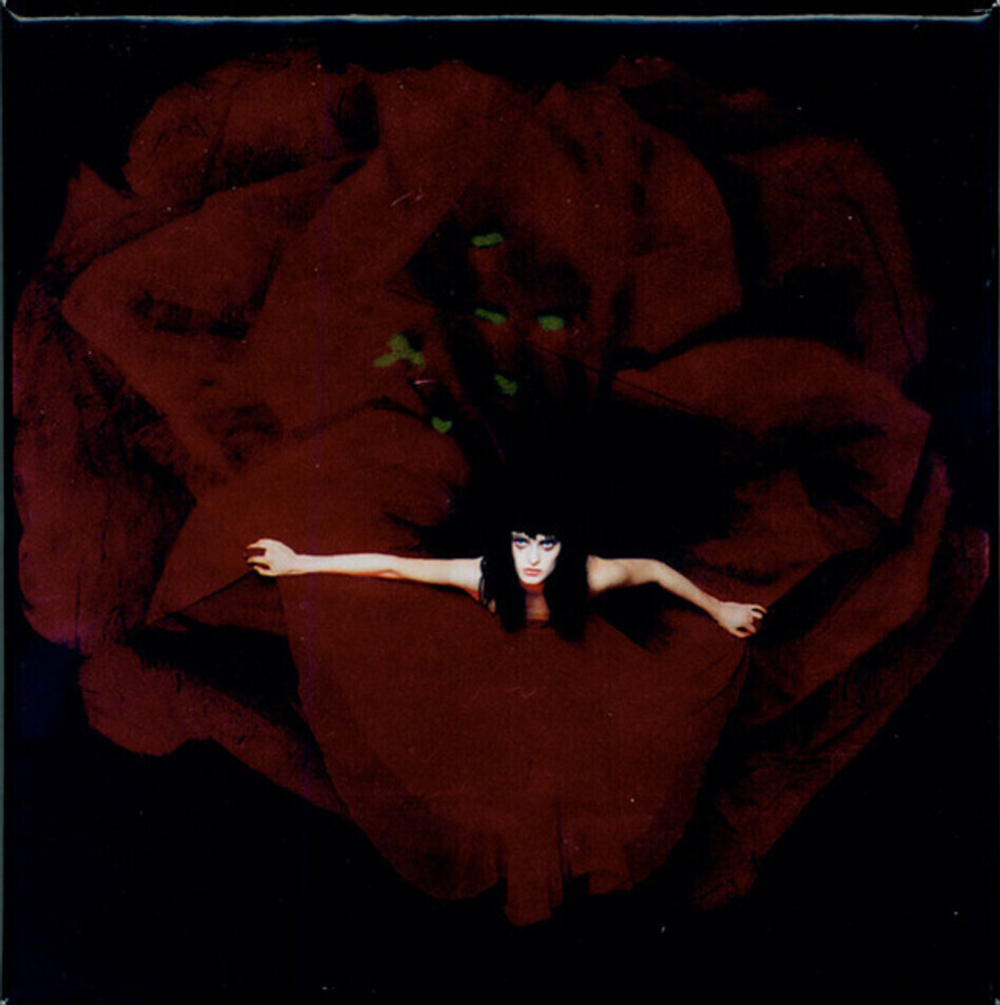 The Smashing Pumpkins / Adore (Deluxe Edition)(6CD+DVD)