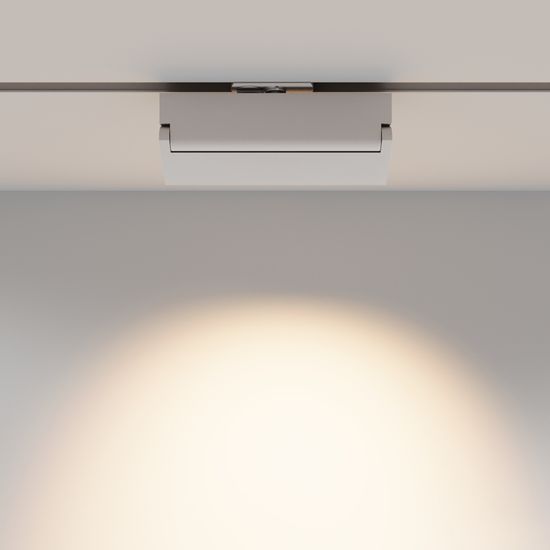 Трековый светильник Technical TR224-1-12WCCT-M-W