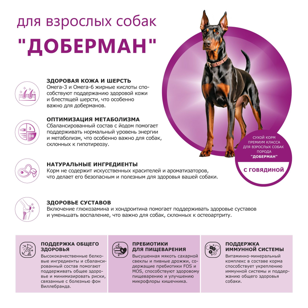 Корм сухой для взрослых собак породы Доберман, премиум полнорационный комплекс, с говядиной, 12 кг, QUATTRO