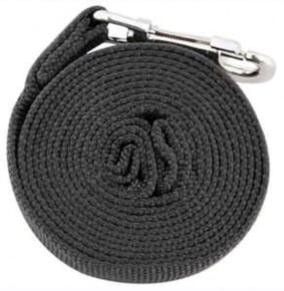 Поводок брезент.25мм х 7м с карабином Homepet 65995 Поводок брезент.25мм х 7м с карабином Homepet 65995