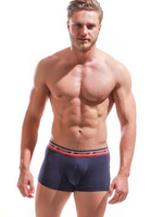 Трусы-боксеры с широкой резинкой в спортивном стиле (Размер: L) (Цвет: темно-синий)