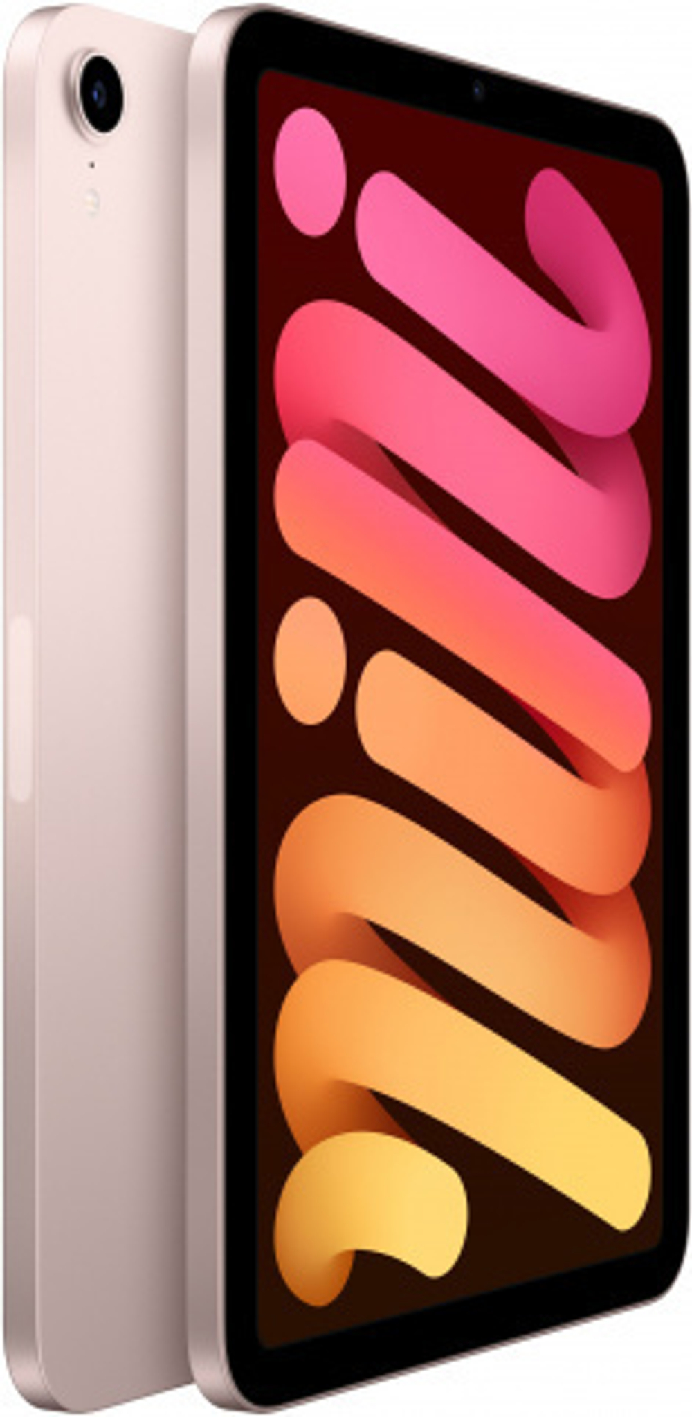 Apple iPad mini 256 Гб Wi-Fi + Cellular 2021 розовый - купить по выгодной  цене | Technodeus