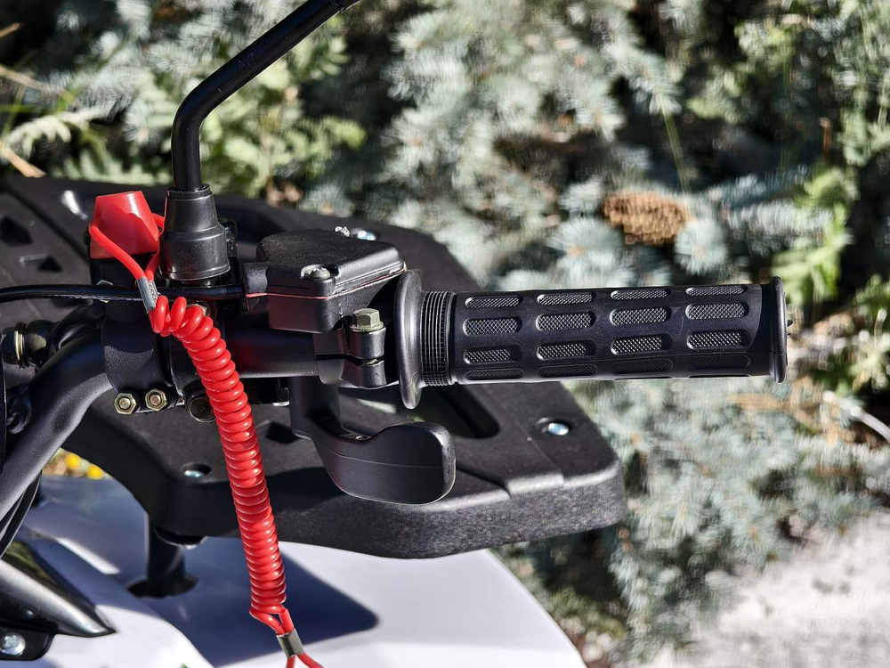 Lion 125 AR белый