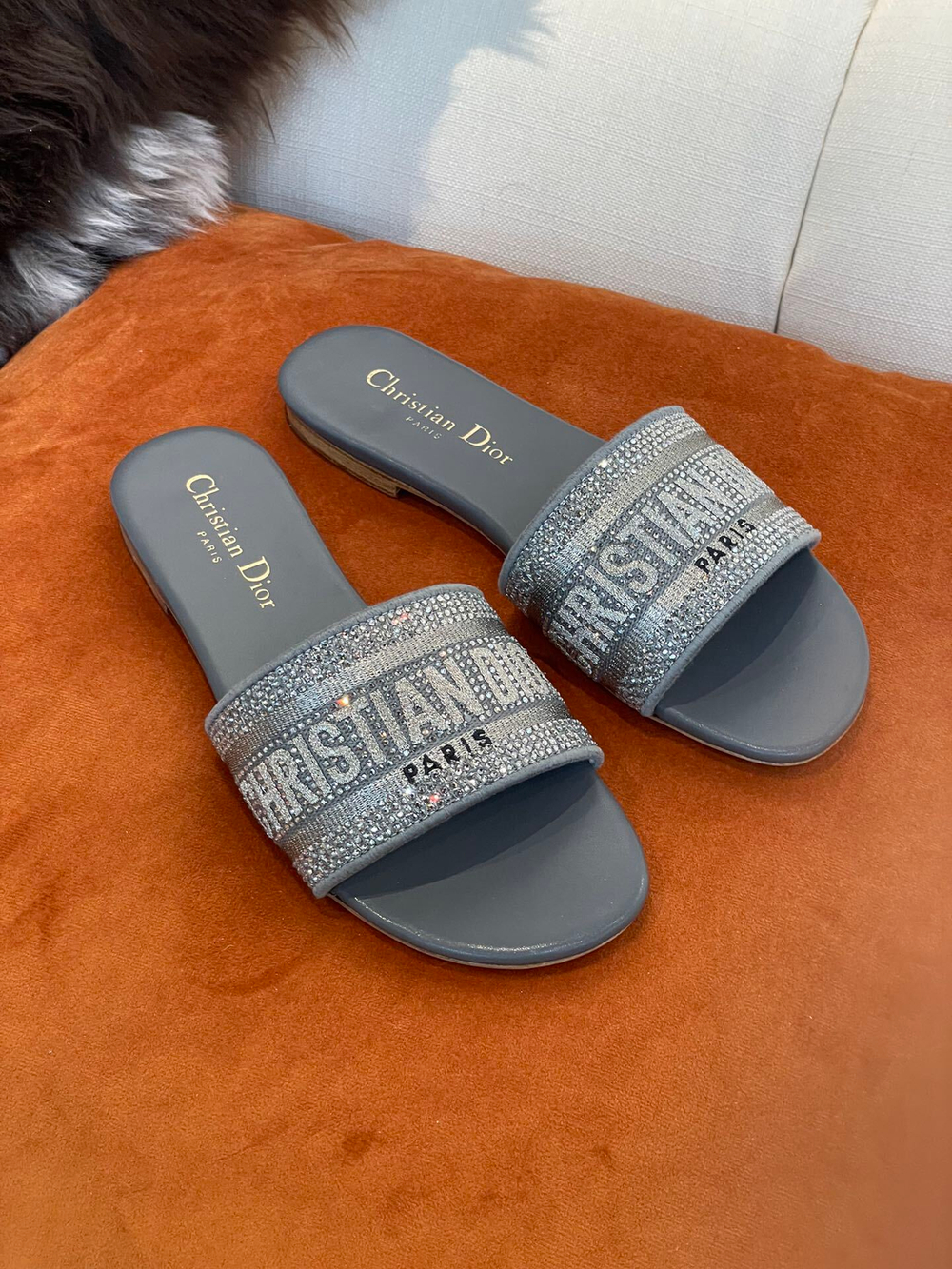 Christian Dior Dway Slide