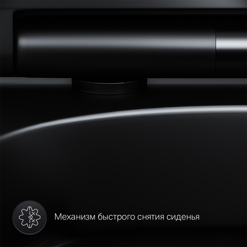 Унитаз подвесной FlashClean с сиденьем микролифт AM.PM Spirit V2.0 C701700MBSC Черный