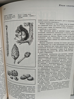 Детская энциклопедия. Том 4. Растения и животные