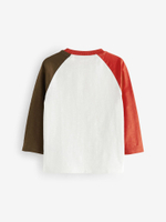 Лонгслив для мальчика Next N66-331, Молочный, Коричневый, Красный