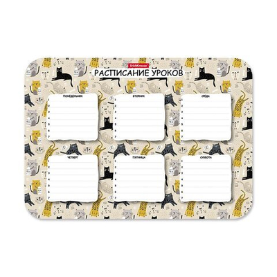 Расписание уроков пластиковое ErichKrause® Lying Cats, А4