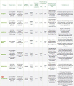 Меренга F1 семена огурца партенокарпического (Seminis / Семинис)