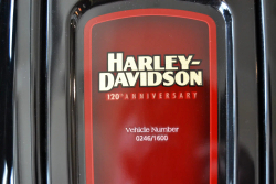 Harley-Davidson Road Glide Special (120th Anniversary) 2023 с НДС