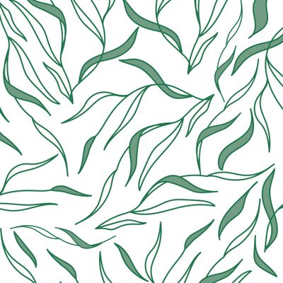 Веточки с листьями на белом фоне